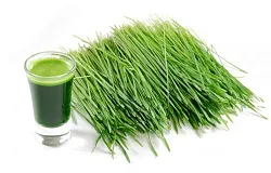 СОК ИЗ РОСТКОВ ПРОРОЩЕНОЙ ПШЕНИЦЫ GREEN VITAMIN ЗАМ 850ГР